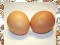 Game puzzle eggs