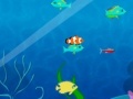 Game Fish Fun