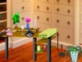 Game Dressing Room Objects
