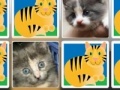 Game Match a Pretty Kitty