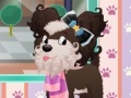 Game Doggy Salon