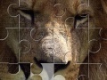 Game Lion Jigsaw