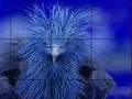 Game Timid blue bird slide puzzle
