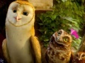 Game Legend of the Guardians Spot the Difference