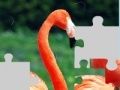 Game Flamingo puzzle