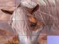 Game Slide Puzzle: Horse