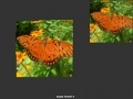 Game Orange Butterfly