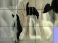 Game Waterfall and horse slide puzzle