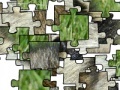 Game Jigsaw: Raccoon