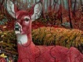 Game Alone deer in the forest puzzle