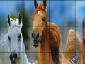 Game Wild horses slide puzzle