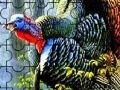Game Colorful turkey in the forest puzzle