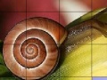 Game Snail and flower slide puzzle
