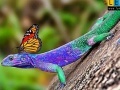 Game Lizard and butterflies puzzle