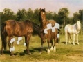Game Horses Grazing Jigsaw