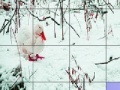 Game Red billed duck slide puzzle