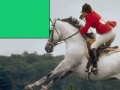Game Horse Jumping Jigsaw