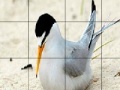 Game Orange beak bird slide puzzle