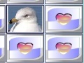 Game Birds Match