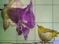 Game Bird on a wire slide puzzle