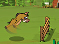 Game Kaban Racetrack