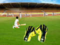 Game Wicket Keeping Volt