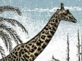 Game Giraffe Jigsaw Puzzle