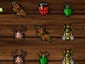 Game Insect Crush