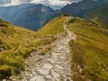 Game On The Trail