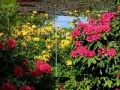Game Beauty Gardens Puzzles 5