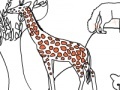 Game Zoo life coloring