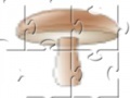 Game Champignon Jigsaw