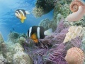 Game Aquatic Interactive 