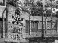 Game Auschwitz Birkenau