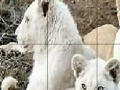 Game Big three cat slide puzzle