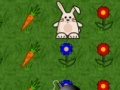 Game Bunny Run