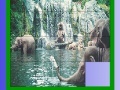 Game Elephants in the sea slide puzzle