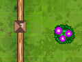 Game Garden Match