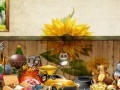 Game Grace Girls Room: Hidden Object