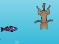 Game Diving Cat
