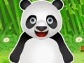Game Panda Pet Care