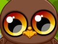 Game Cute owl