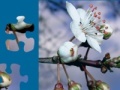 Game White Flower Jigsaw