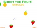 Game Xtreme Fruit Shoot 2!