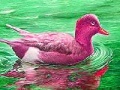 Game Red River Duck: Slide Puzzle