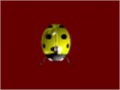 Game Dazed Ladybug