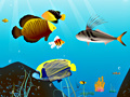 Game Water World