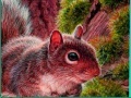 Game Nuts And Squirrels: Puzzle