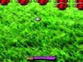 Game Evil Lady Bug Pong
