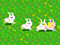 Game Bunny Bunny Boom